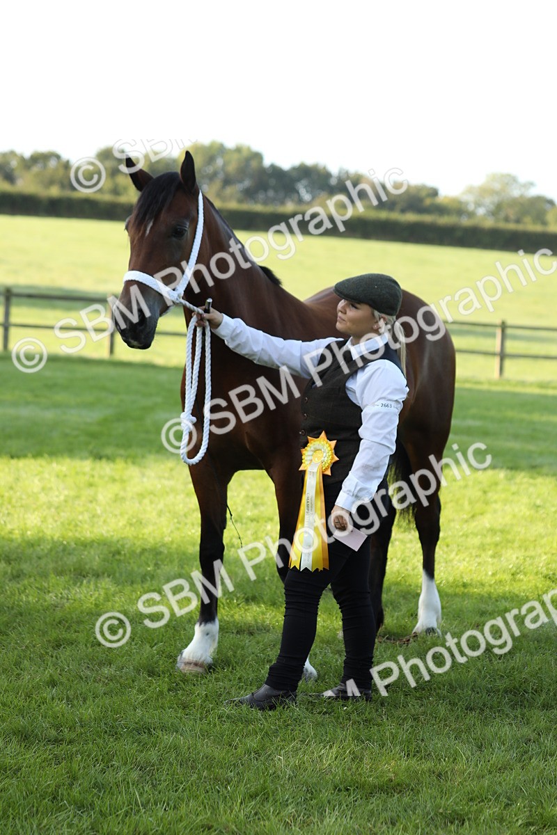 SBM_57983 - S42 - Youngstock