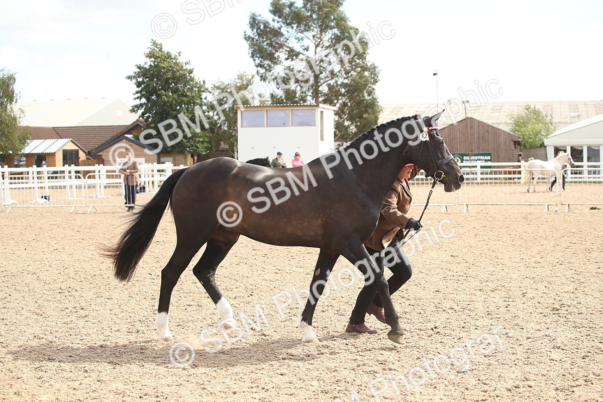 SBM_23465 - Class 604 - 2026 - Area IH Diamond