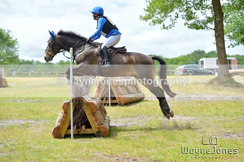 NGP_8945 - Edited examples