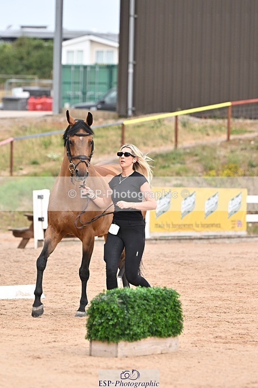 250716-151549-01825 - Trot Up 2.30 to 3.30
