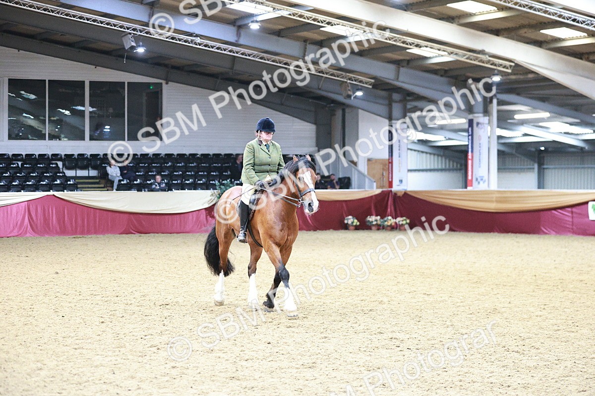 SBM_03613 - Class 6A Area Ridden Pre-Vet