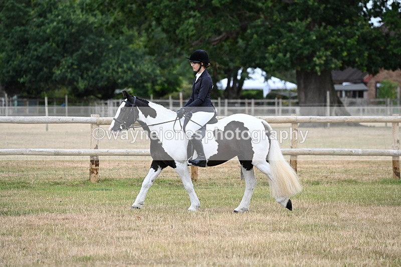 WJ6_3790 - Class 9 Tack & Turnout