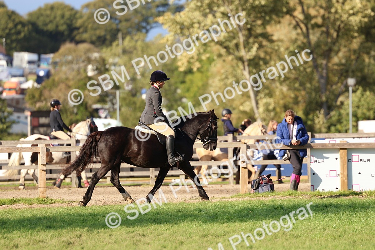 SBM_52520 - S13 - Pony Club Pony