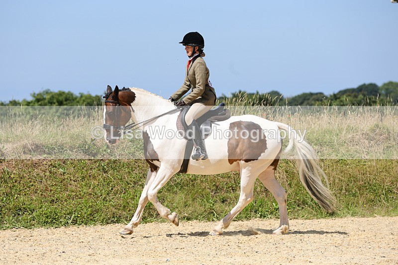 1X9A8821 - Class 19: Riding Club Horse