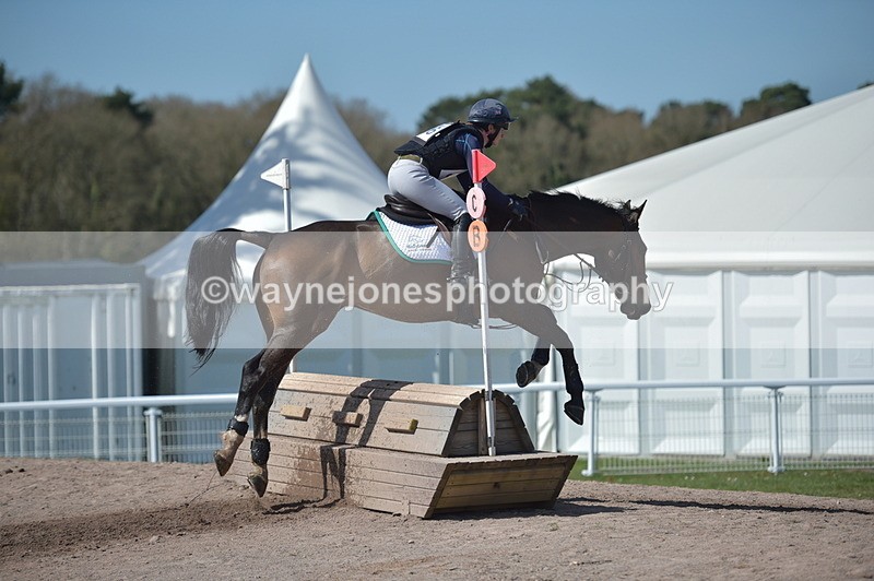 NGP_8606 - XC Time 13:41 to 13:52