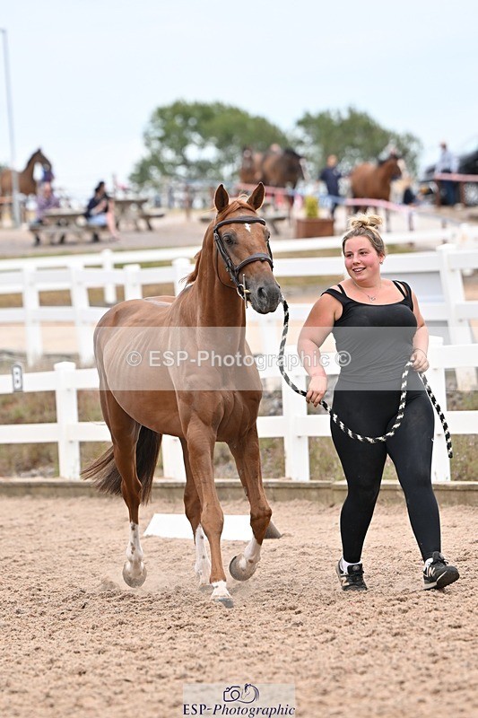 250716-160456-02398 - Trot Up 3.30 to 4.30