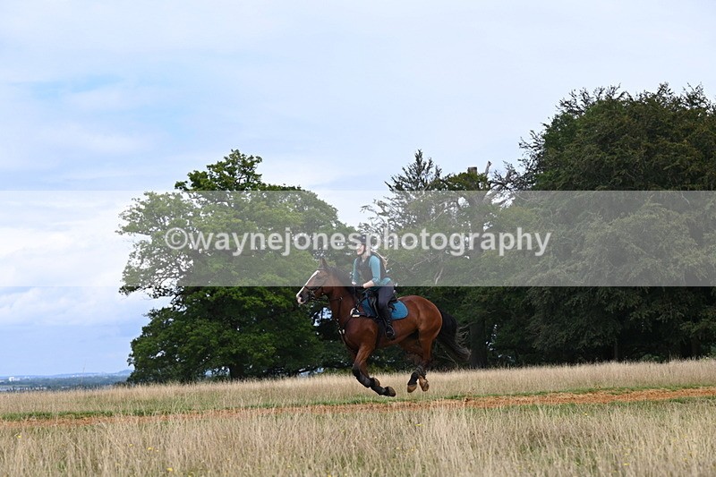 DSC_7691 - Time at Statue 13:16 to 13:52