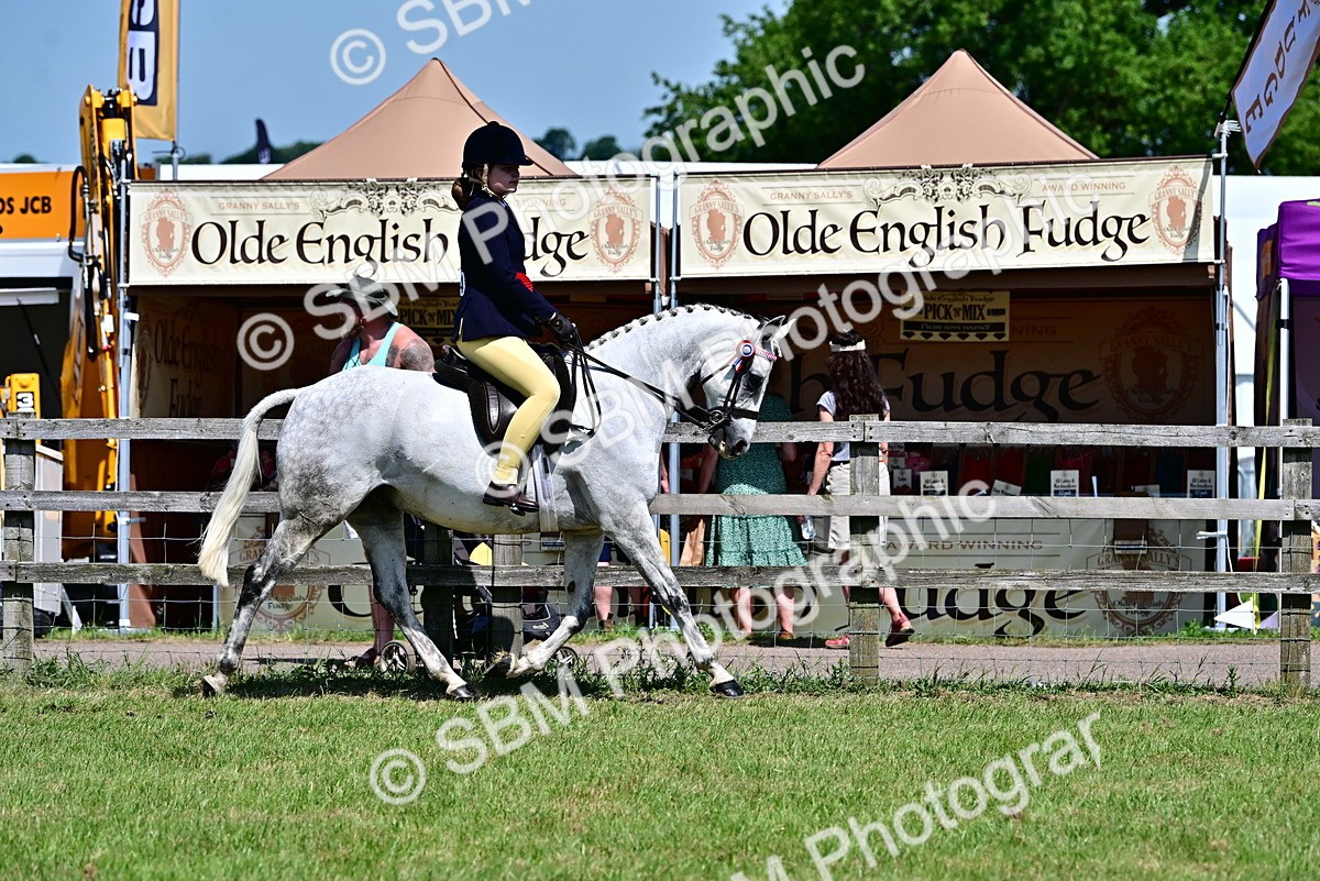 SBM_17538 - Class 95-97 - BSPS LHS Performance Ponies