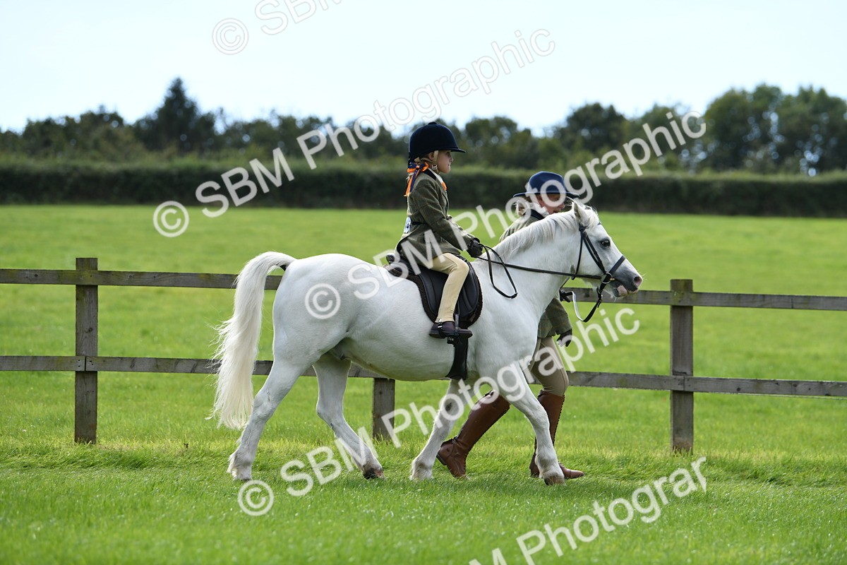 SBM_42479 - S20 - Lead Rein Mountain & Moorland Pony