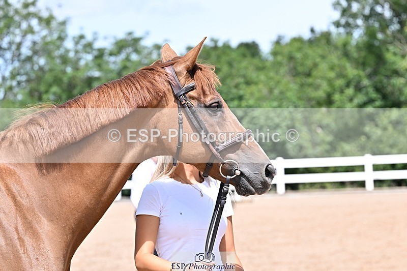 250716-124120-00111 - Trot Up 12.30 to 1.30