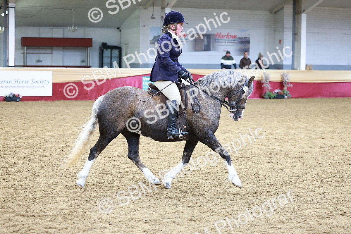 SBM_18630 - Class 952 - M&M Ridden Supreme Final