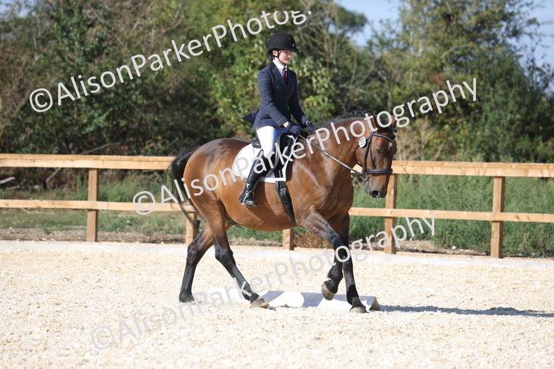 20260905-1599 - Class 5 - Novice 2