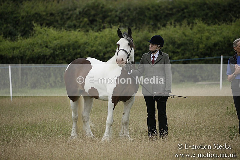 B230619-0064 - Bourne Valley Riding Club Summer Show 23/06/19