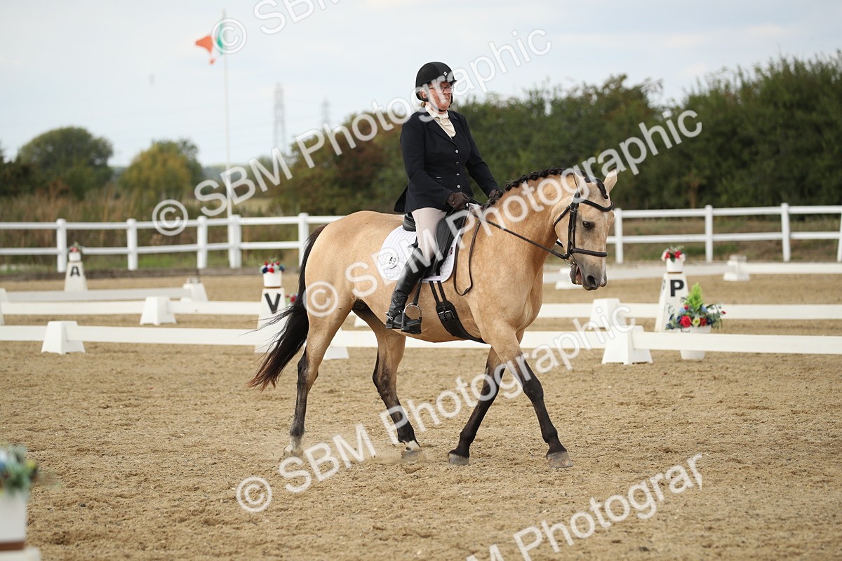 SBM_003119 - Class 6 - Elementary 5 - 14.50-15.46