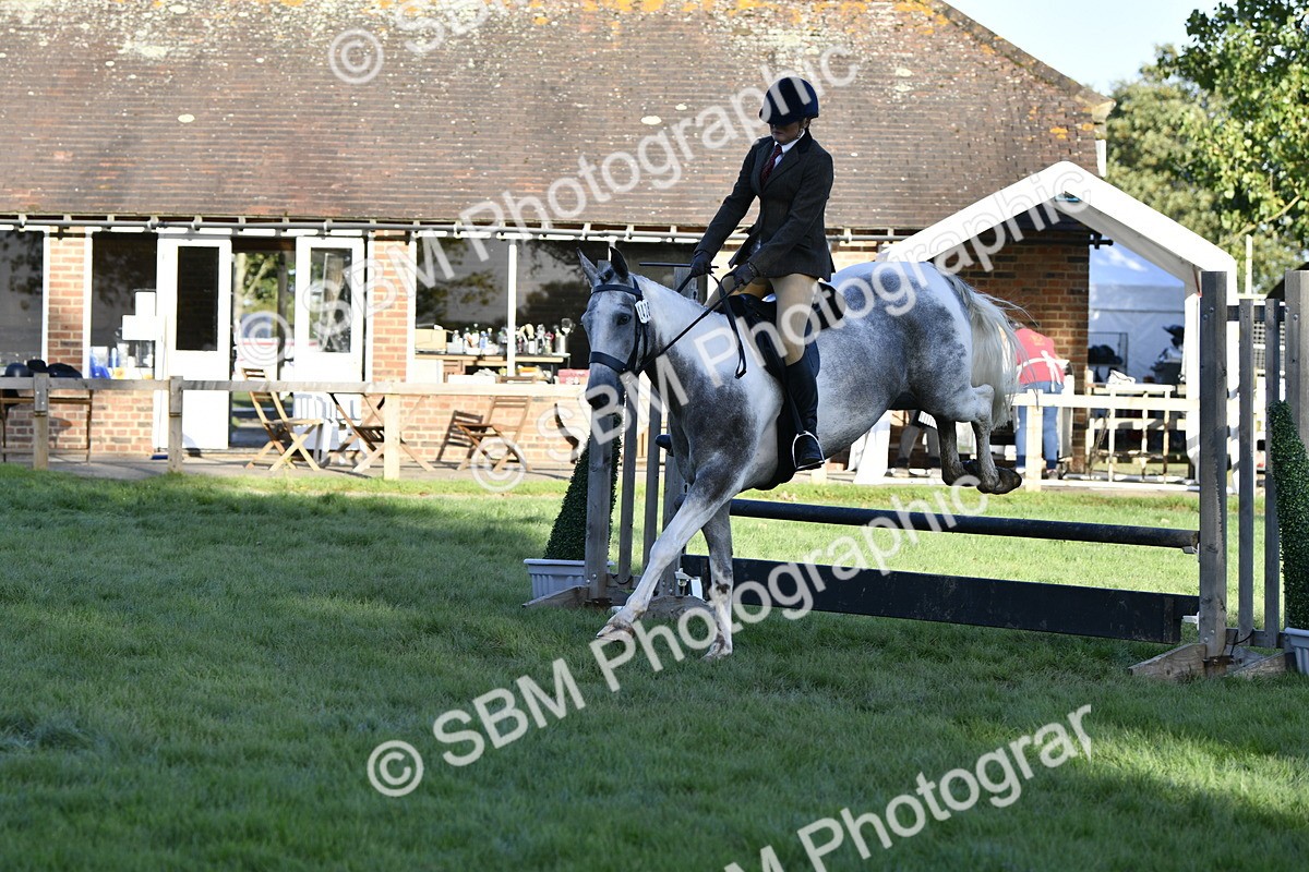 SBM_53552 - S14 - Riding Club Horse