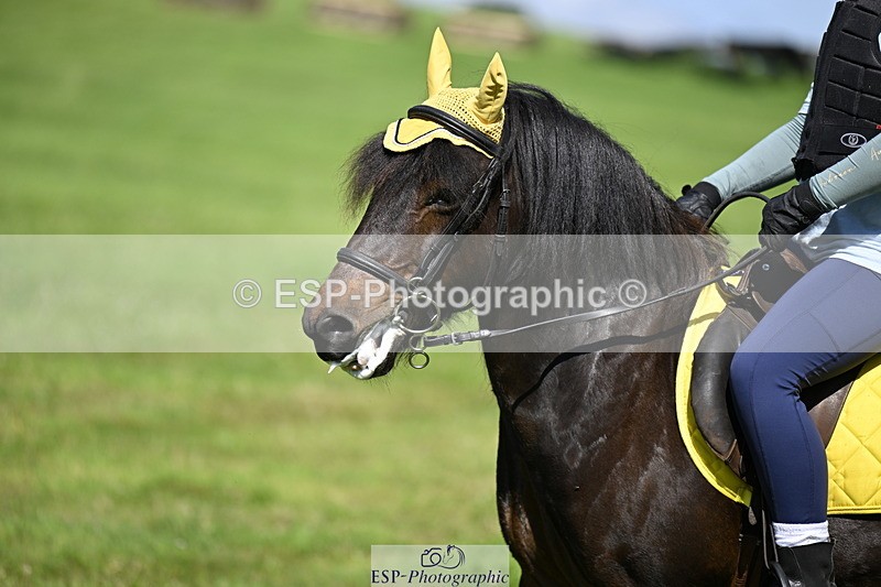 240728B-104730-00707 - Theo's Group XC