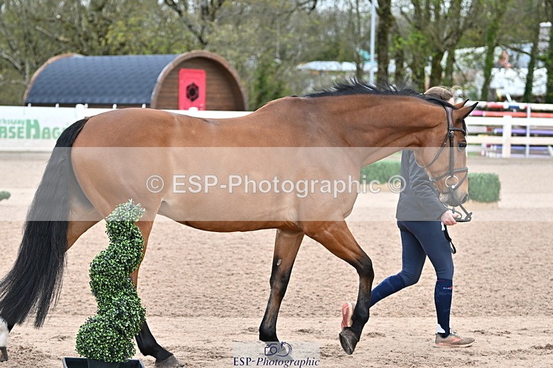 240417A-112744-00012 - 11am to 12pm