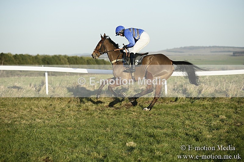 PtP 070118 -656 - Larkhill Racing Club Point to Point Larkhill 07/01/2018