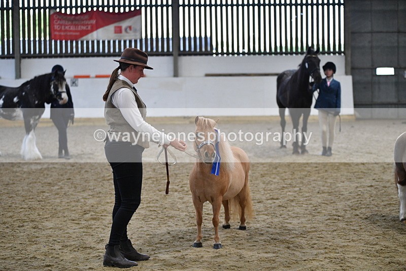 WJ5_5162 - Class 7 In hand coloured / odd coloured