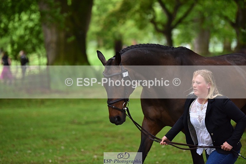 240522-155450-00580 - 165-RIDIRE_DORCHA-Lucy_Stimson