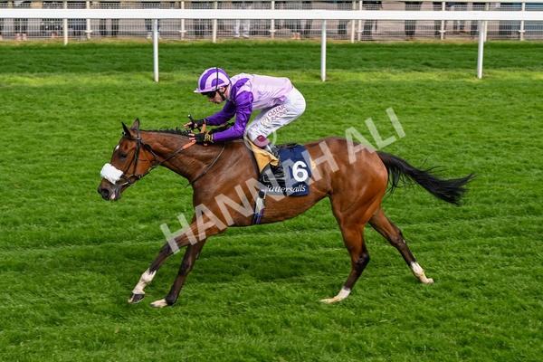 150524-Race 4-Secret Satire-4249 - Race 4 3.45pm Tattersalls Musidora Stakes