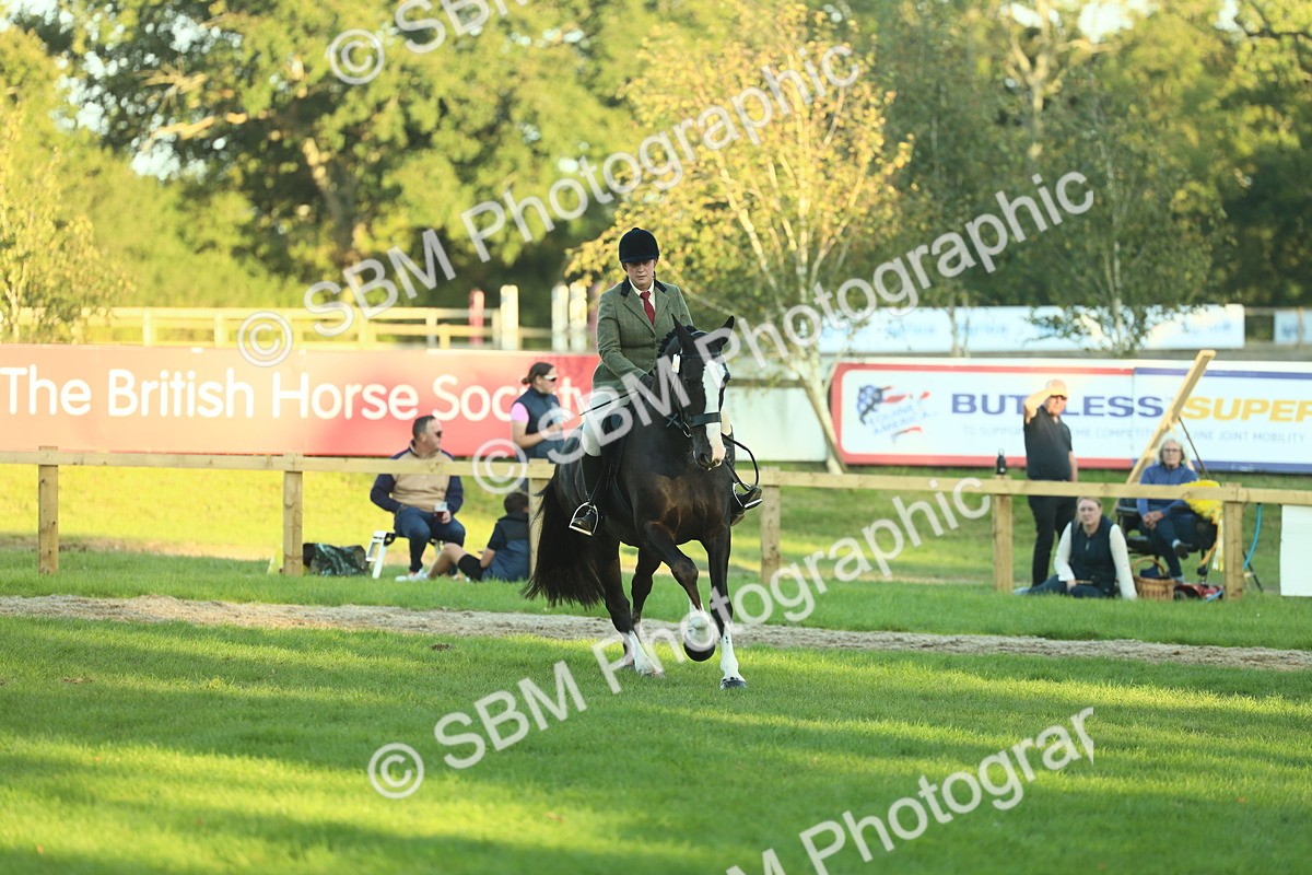 SBM_55641 - S14 - Riding Club Horse
