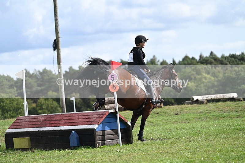 WJ7_1919 - Time 13:17 to 13:53