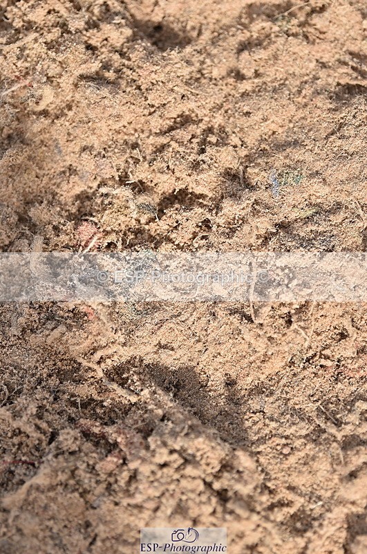 231015A-131016-08224 - Cls 25 95cm Amateur Q 2nd R