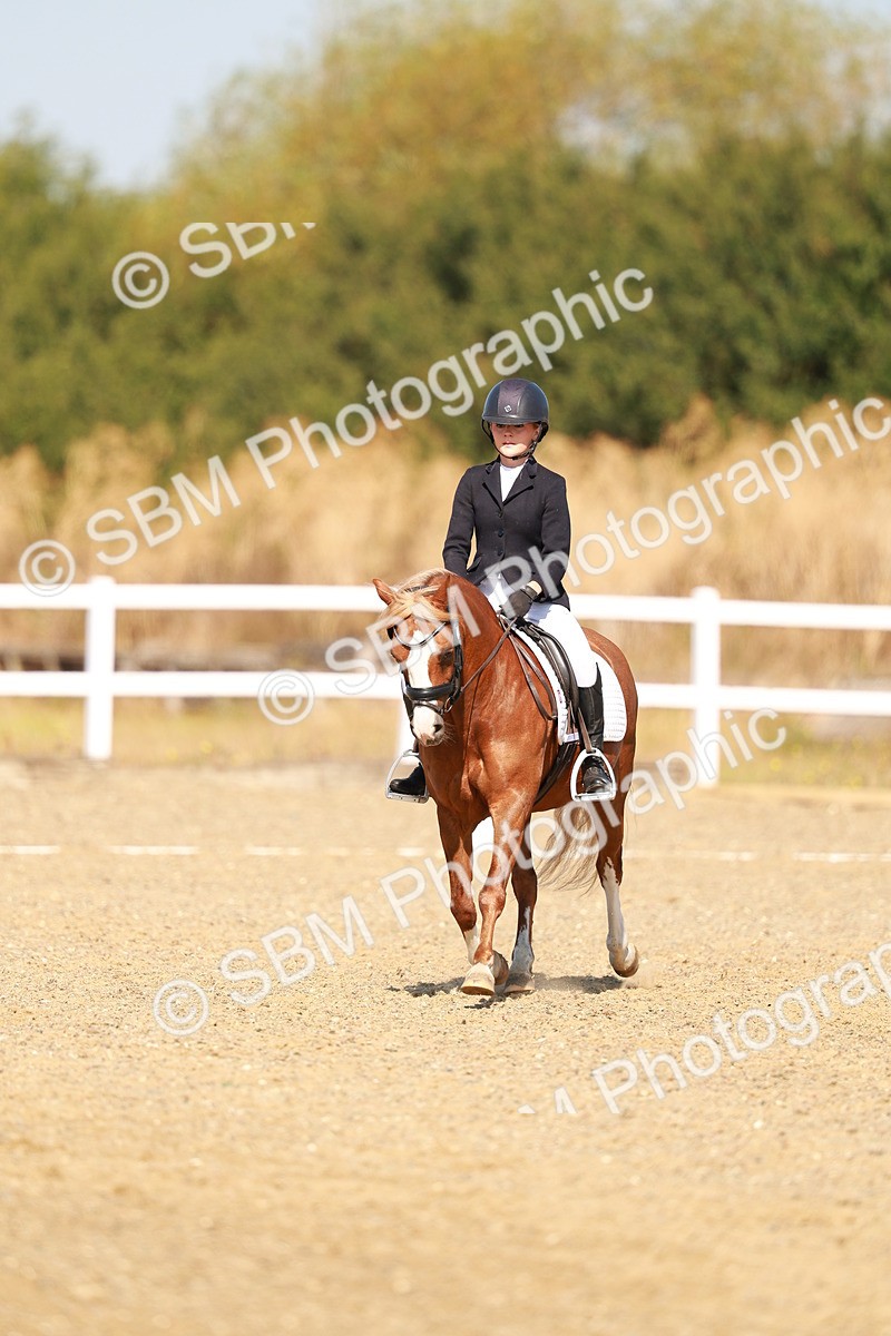 SBM_017592 - Class 9 - N5 Bronze 10.33.11.36