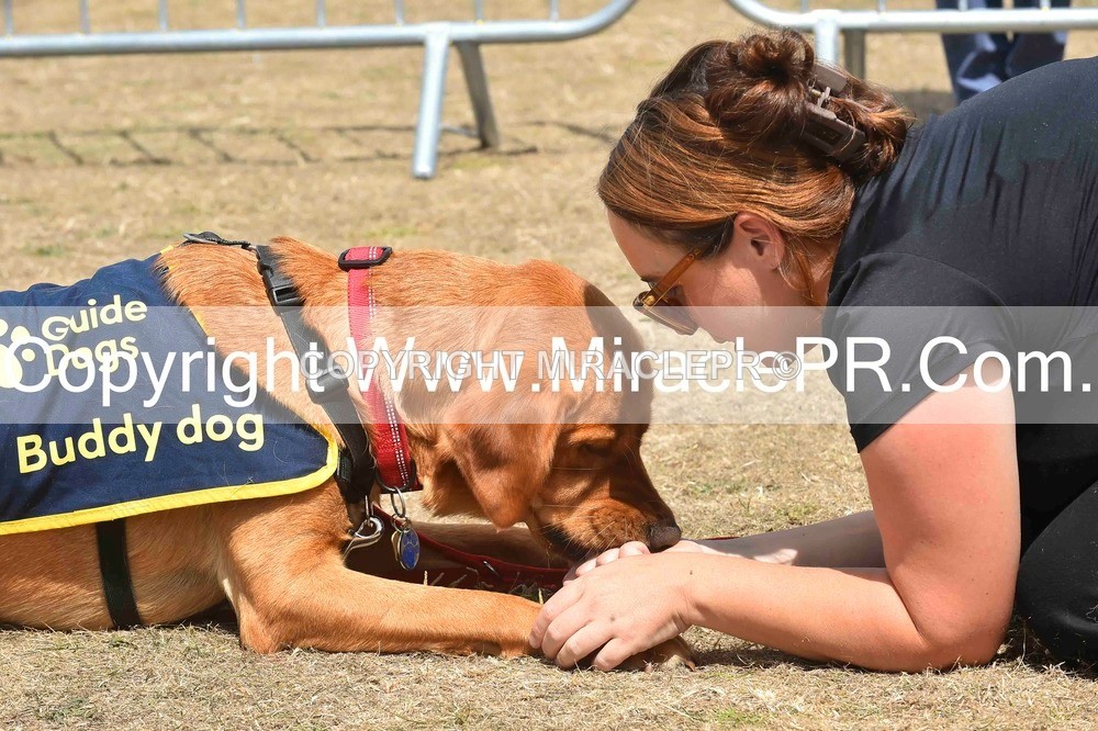 SH4_0241 - Dog show.