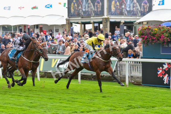 230923-Race 3-Politico-6285 - Race 3 3.10pm Happy 60th Birthday Angela Clark Nursery Handicap