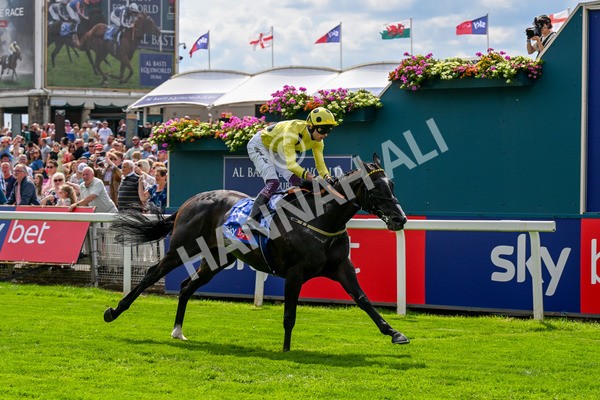 260725-Race 3-Royal Champion-0467 - Race 3 2.40pm Sky Bet York Stakes