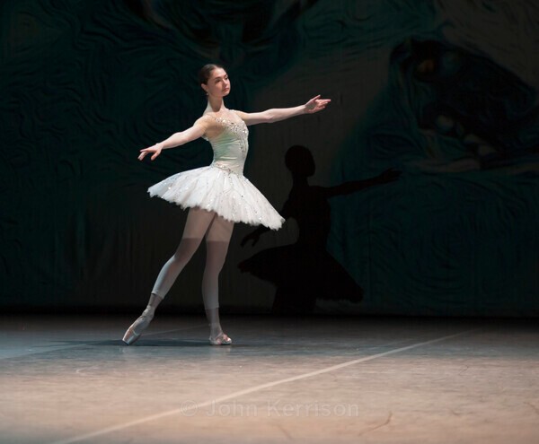  - Aliona Kovaleva and Xander Parish - Diamonds