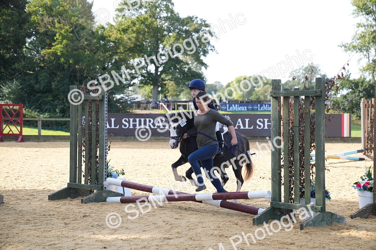 SBM_61444 - J1 - Mini Tour Junior Pony Lead Rein 30cm Championship
