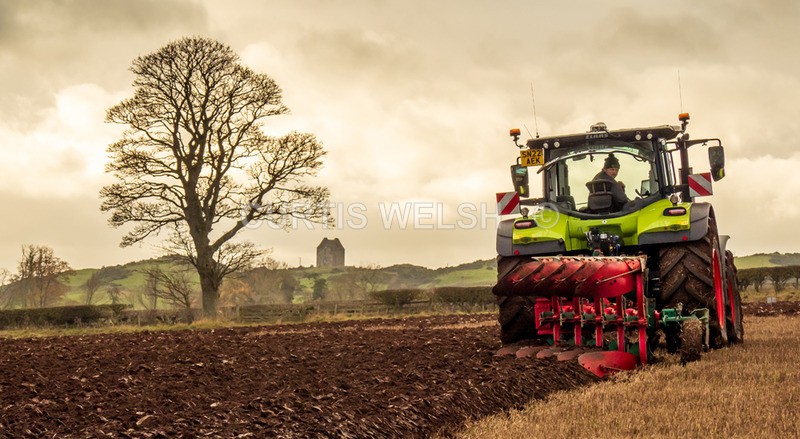 PB260670 - Lauderdale Ploughing Society - Ploughing match 26-11-22