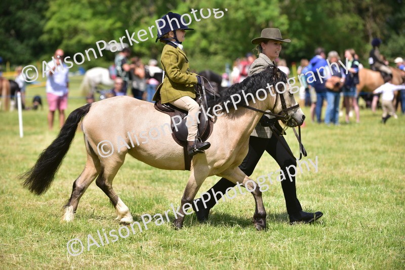 20260614-1243 - Class 11a - Lead Rein Pony (Unplaited)