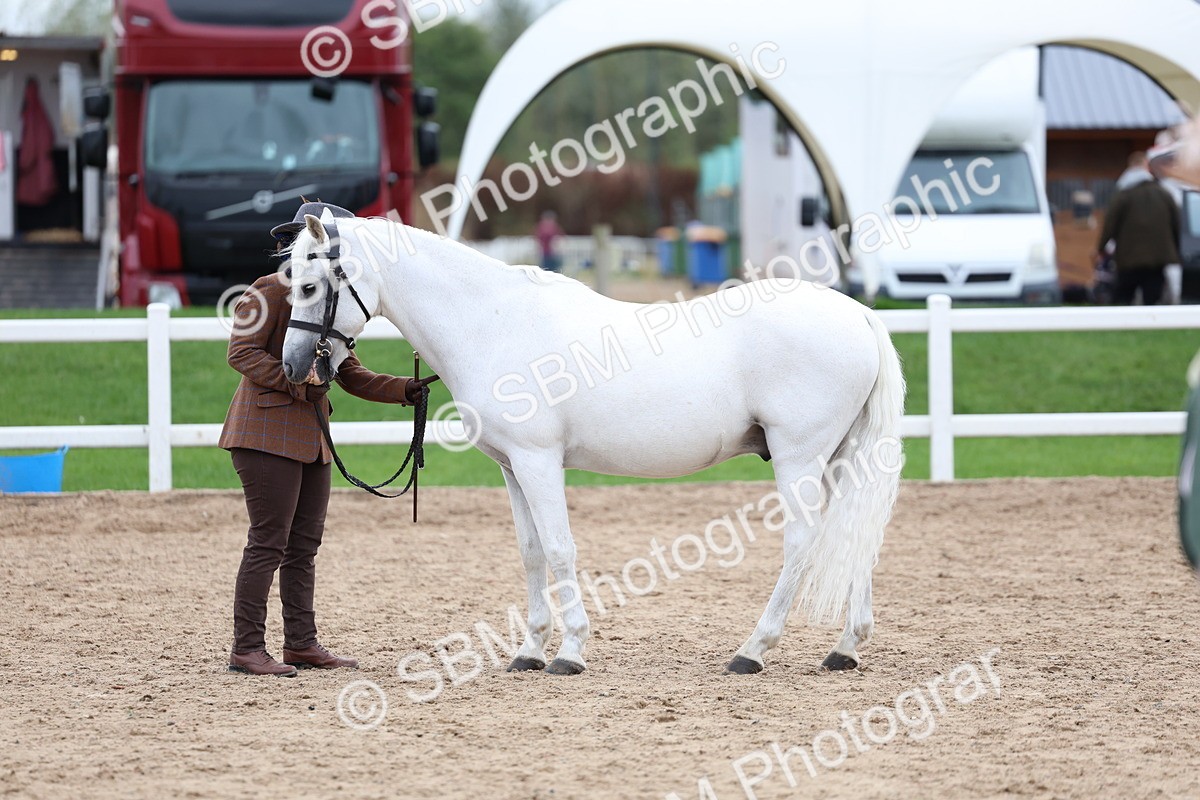 SBM_05959 - Class 29 - IH Veteran Pony