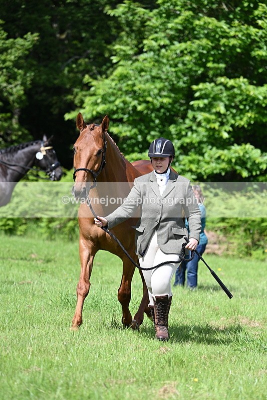 WJ7_1079 - Class 11 Condition & Turnout