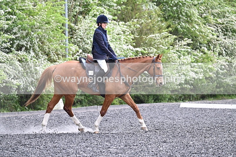 WJ7_0786 - Time 14:01 to 14:12