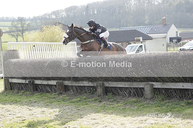 PtP 080423 782 - Dingley Races The Woodland Pytchley Hunt PtP 08/04/23