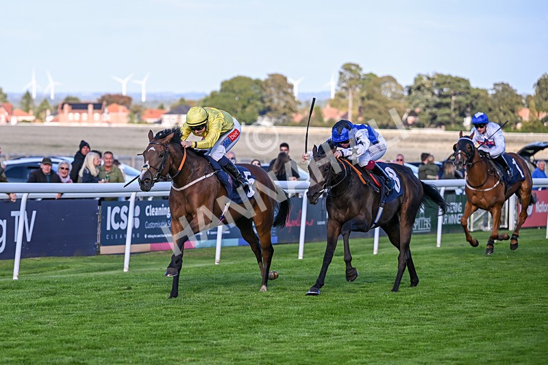 230925-Race 6-Kiss Me My Love-1981 - Race 6