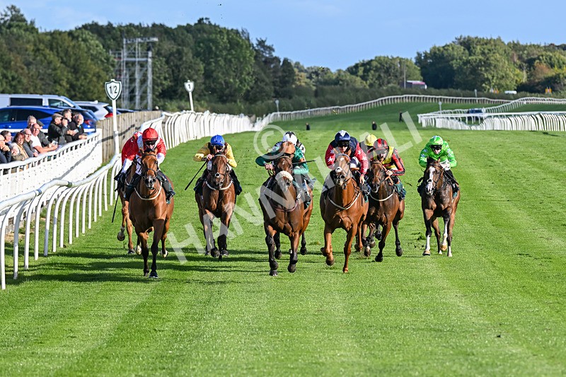 080926-Race 7-Military Girl-3295 - Race 7 5.21pm RMG Proudly Supports Teenage Cancer Trust Handicap