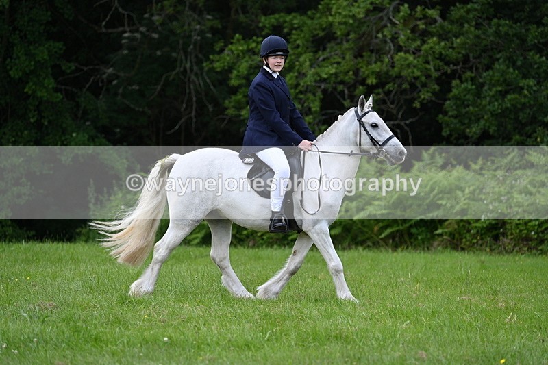 WJ7_2579 - Class 12A Coloured Class