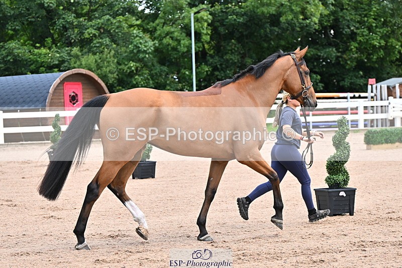 240718A-105236-00888 - Trot Up 11am to 12pm