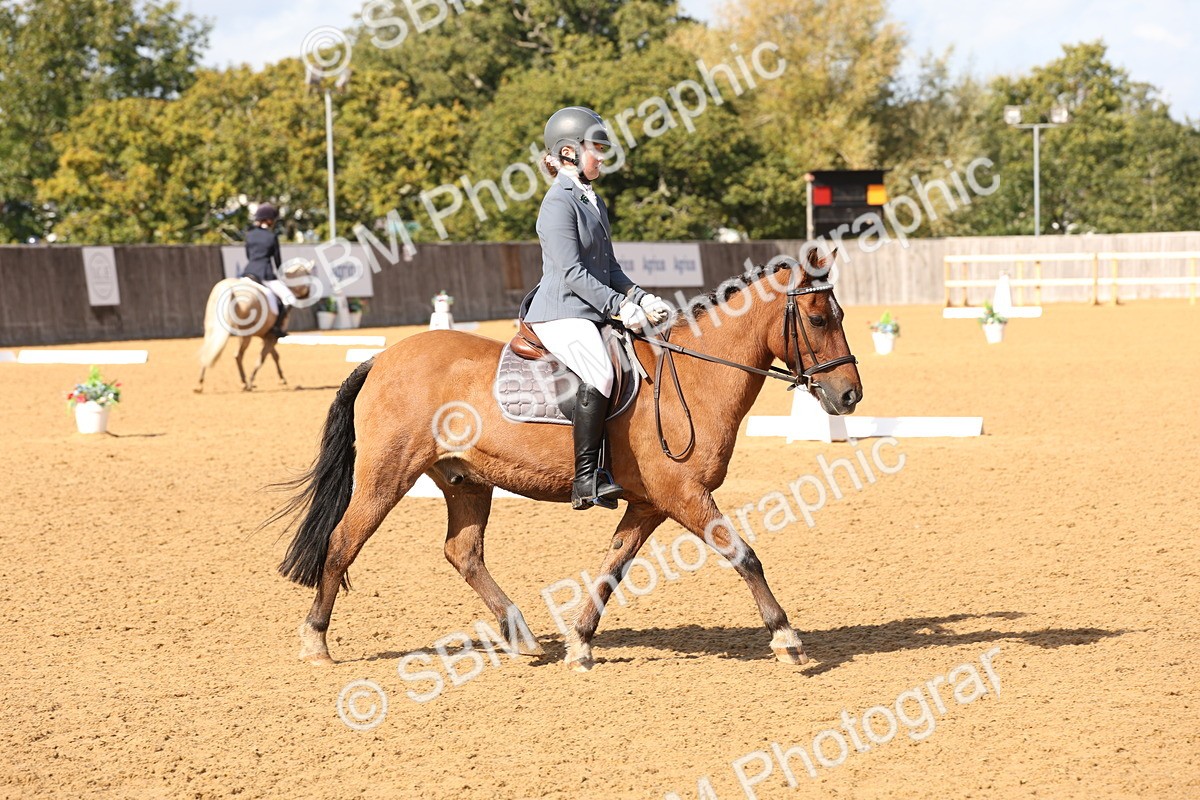SBM_47416 - D12 - Small Tour Championship prelim 2