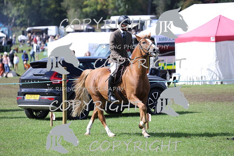 APP_3526 - Class 12 M&M ridden