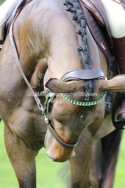 SIAL6721 - Ring 1 & 3