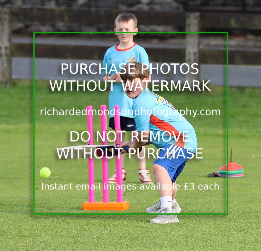 IMG_6924 - Netherfield All Stars Cricket