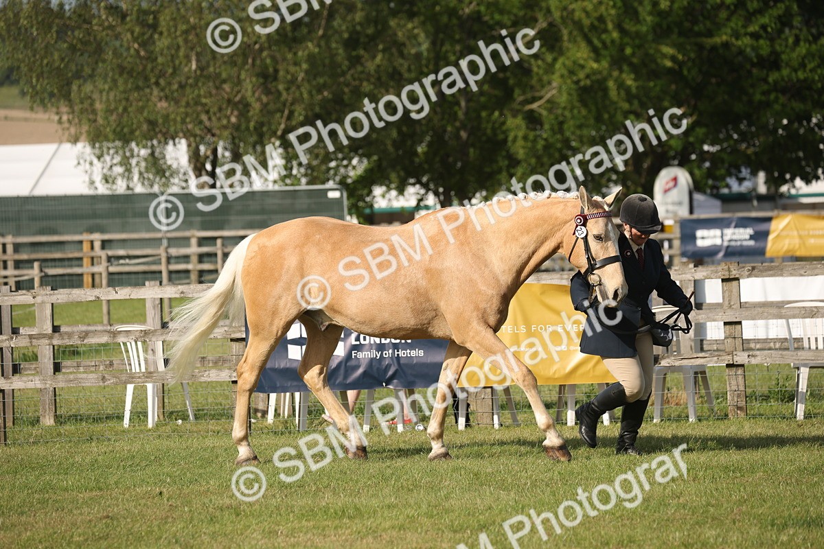 SBM_10498 - Class 33-38 - SSADL RIHS Qualifiers