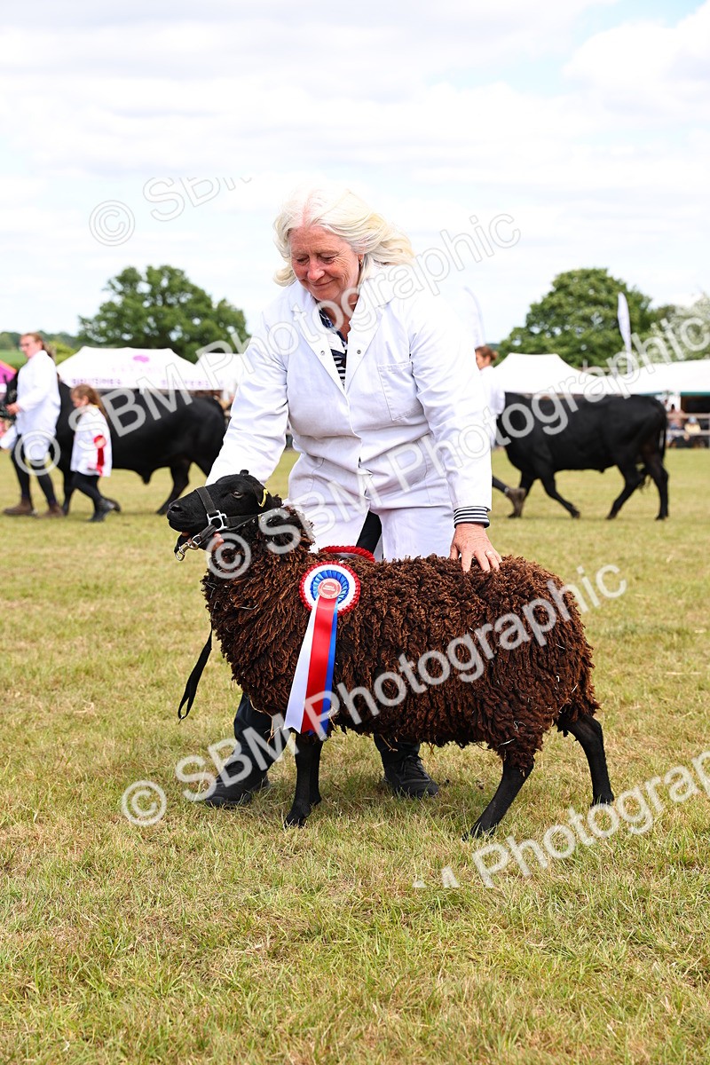 SBM_16964 - Grand Parade